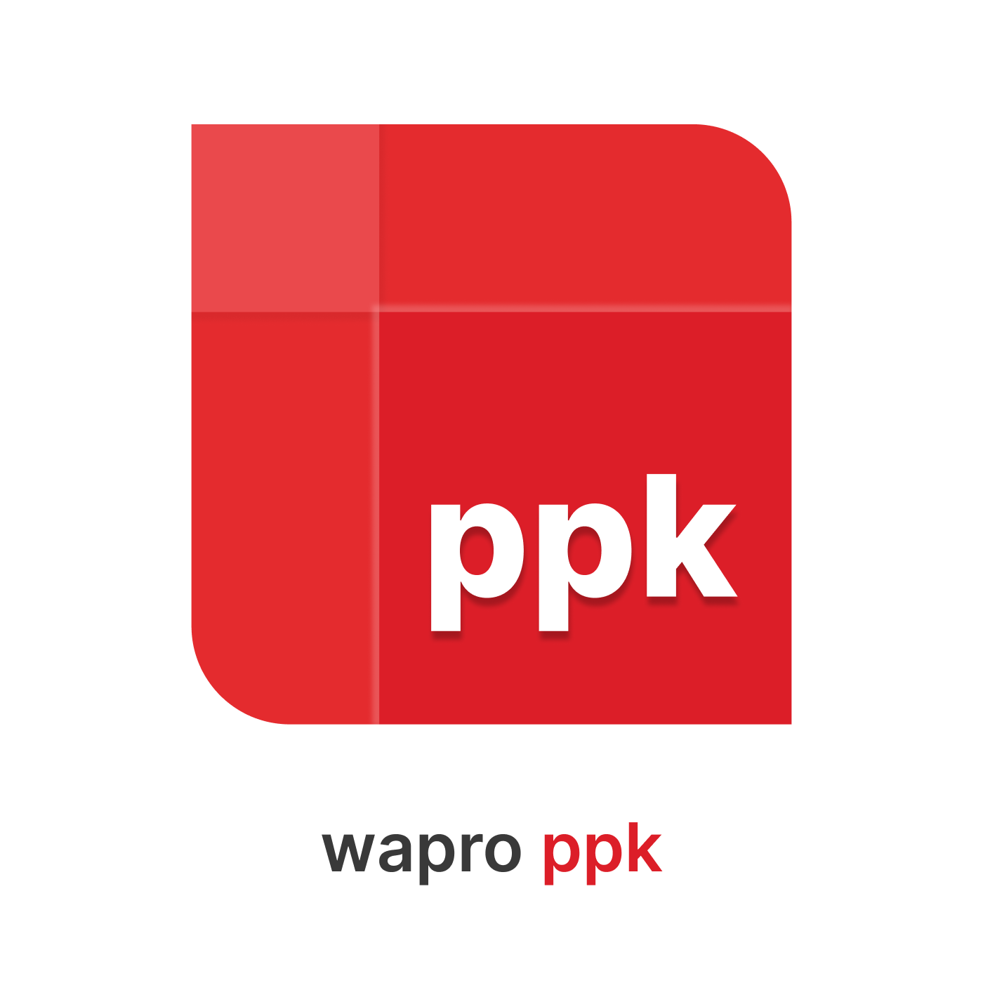 WAPRO PPK do 250 pracowników 365 PRO